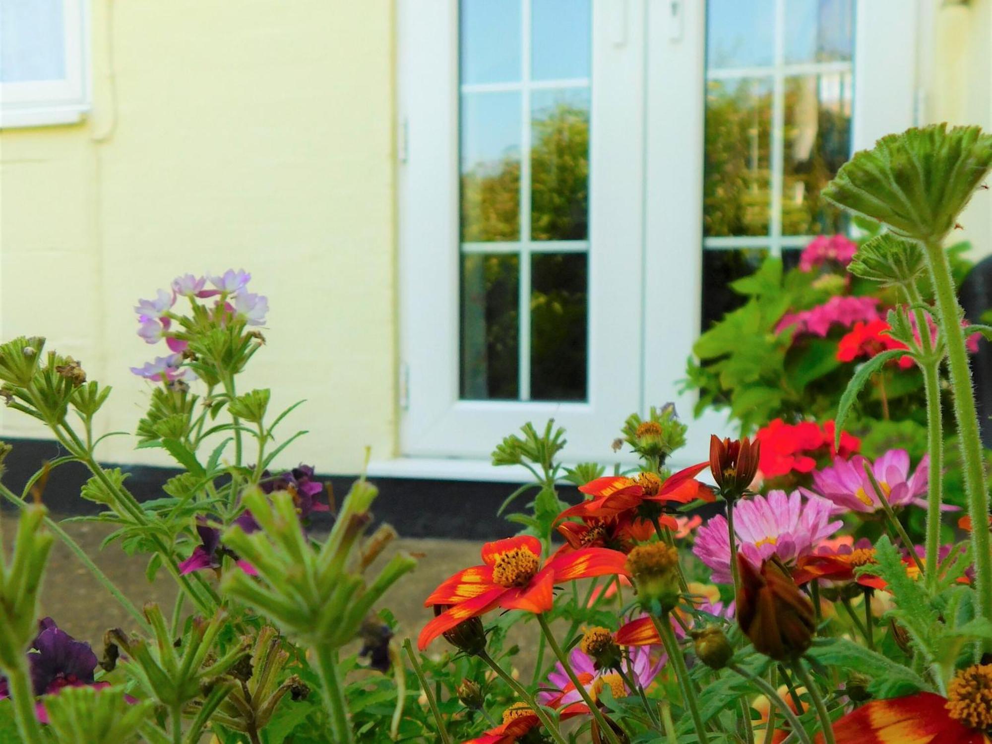 Greenbank Cottage Hilgay 외부 사진