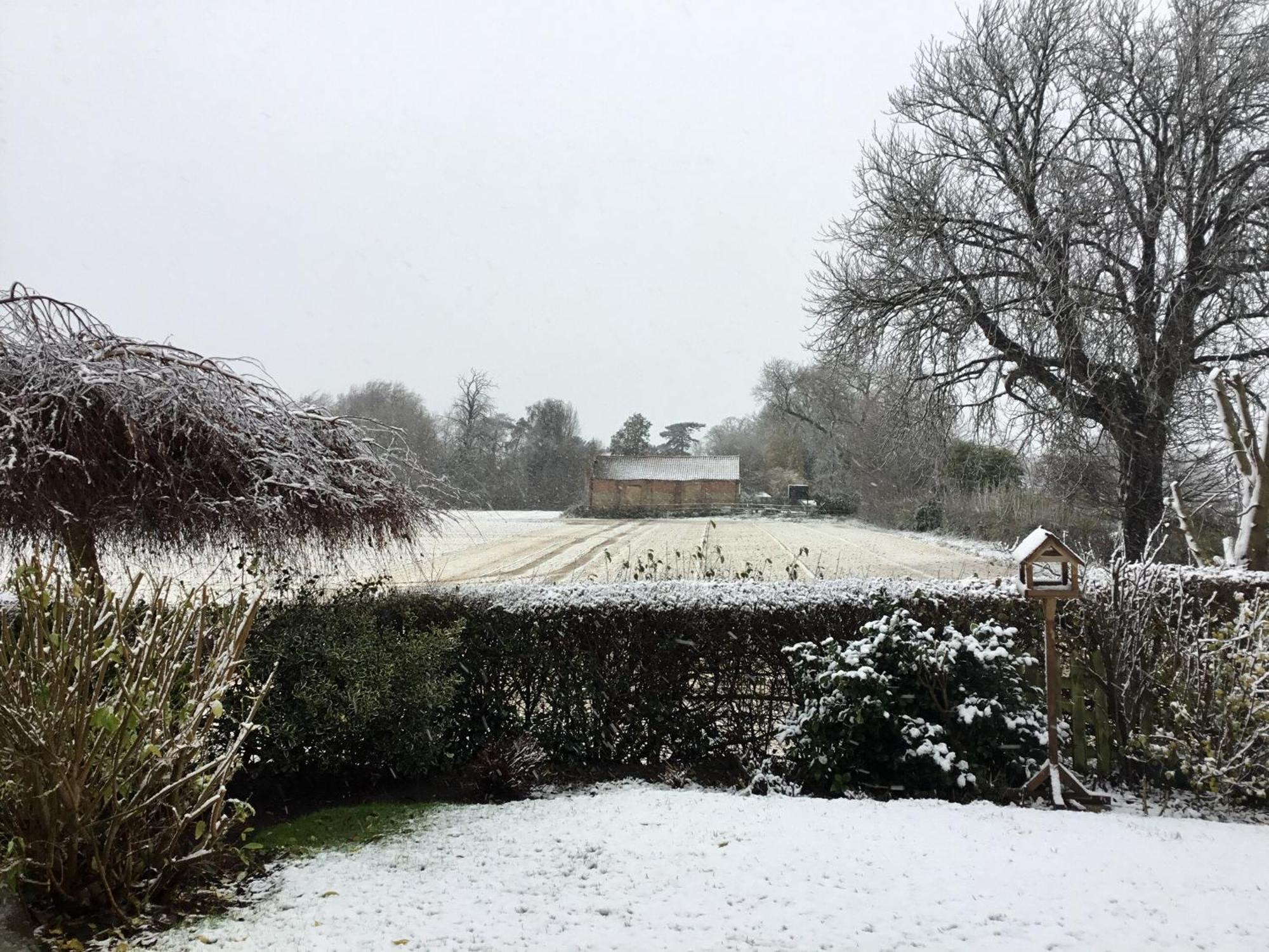 Greenbank Cottage Hilgay 외부 사진